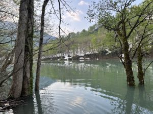 IMG_3155