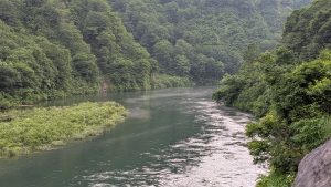 IMG_3249