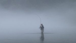 IMG_3312